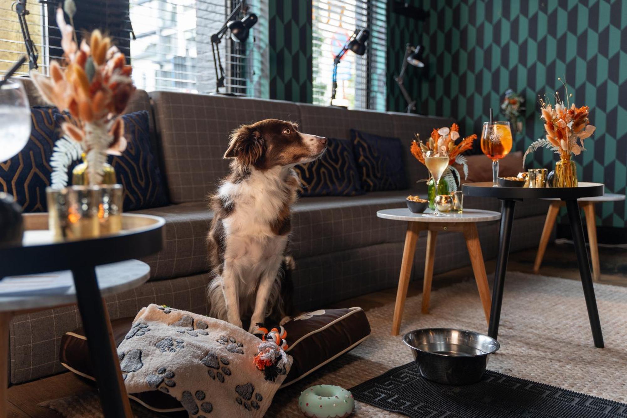 Ibis Styles Hasselt City Centre Экстерьер фото