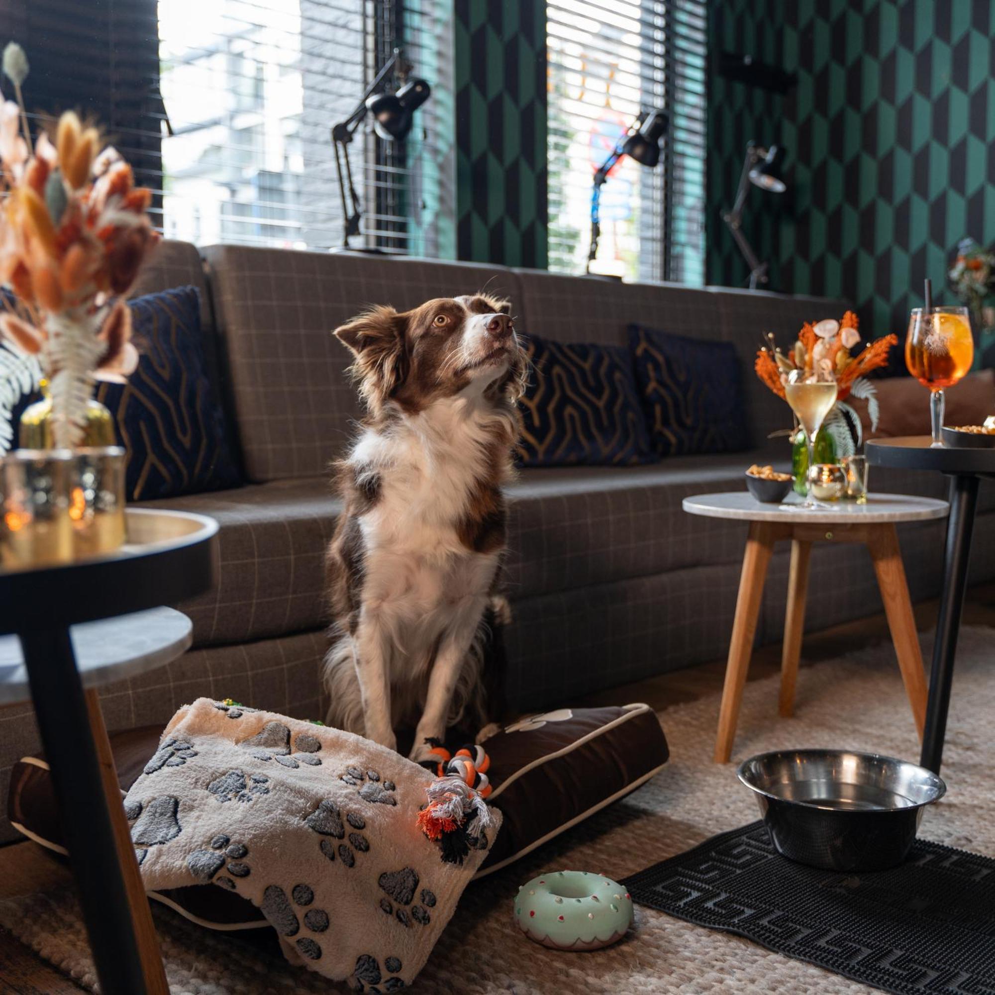Ibis Styles Hasselt City Centre Экстерьер фото